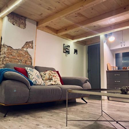 Central Cluj Loftアパートメント エクステリア 写真