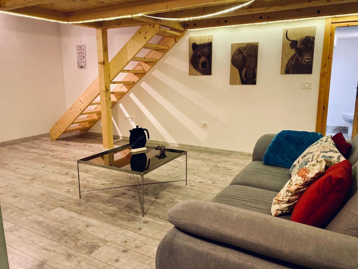 Central Cluj Loftアパートメント エクステリア 写真