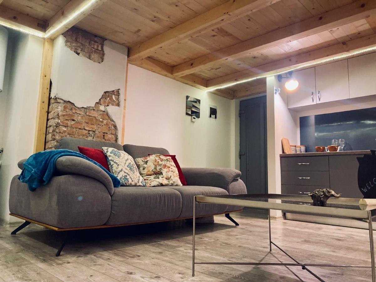 Central Cluj Loftアパートメント エクステリア 写真
